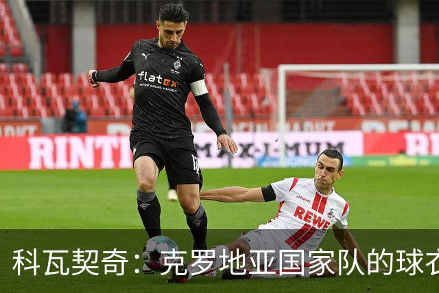 科瓦契奇：克罗地亚国家队的球衣，对我们而言是神圣的
